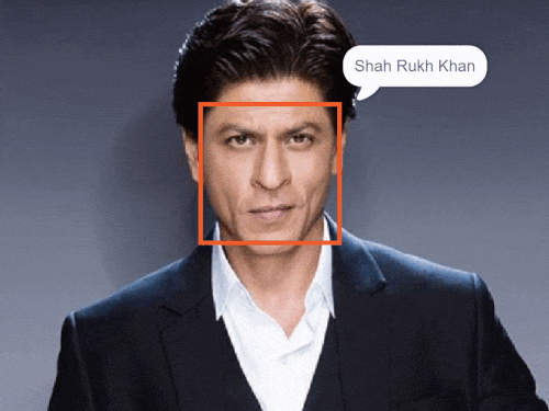 AI in Focus